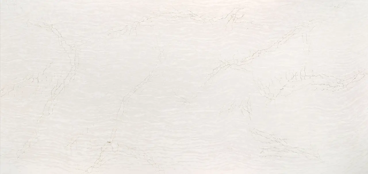 Delgatie™ Design Detail Slab Inspiration