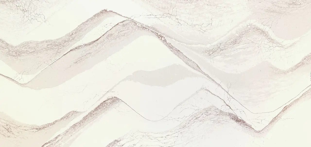 Hailey™ Design Detail Slab Inspiration