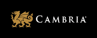 cambria-h-black-bkgd-pms125c.eps