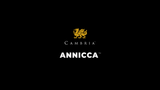 Annicca Design Walkthrough