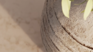 spring-ndl-24-landing-page-hero-video-16x9.mp4