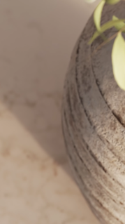 spring-ndl-24-landing-page-hero-video-9x16.mp4
