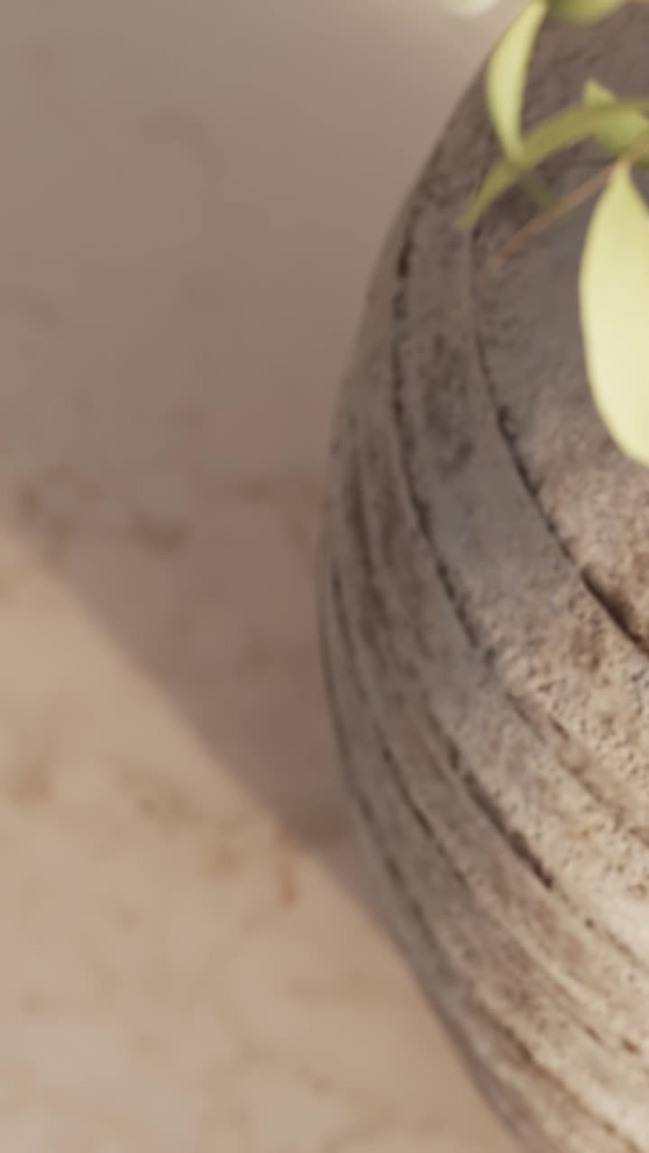 spring-ndl-24-landing-page-hero-video-9x16.mp4